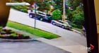 Police make arrest after West Vancouver hit-and-run incident