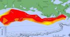 Gulf of Mexico dead zone is largest on record