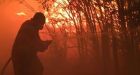 Summer of fire