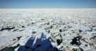 Arctic voyage finds global warming impacting ice, animals