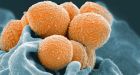 A streptococcus outbreak has killed nine people in London, Ont.