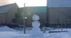 Cleanup day: 30+ cm of snow dumped on parts of Newfoundland's east coast