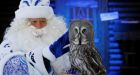 Santa Claus is coming to town! Kris Kringle spotted in some strange places