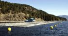 Risk of viral transfer from B.C. fish farms to wild sockeye is low: study