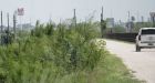 Border Agents arrest 5,000 illegal immigrants with criminal records