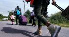 Irregular migrants acting as 'anchor relatives' to help get family into the country