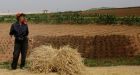 North Korea may be heading for food crisis, Red Cross warns as crops fail in hot weather