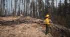 B.C. state of emergency ends as wildfire conditions improve