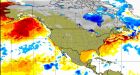 'Son of the blob': Unseasonably warm weather creating new anomaly off B.C. coast
