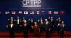 Senate votes to implement Asia-Pacific trade deal, putting Canada in line to ratify early