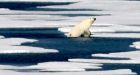 Arctic breaks records with 5-year heat streak