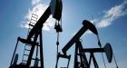 Artist devises satirical scheme to 'adopt' Alberta's orphaned wells