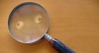 Investigation of NOAA climate scientists finds bupkis