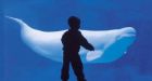 Vancouver Aquarium suing city, park board over cetacean ban