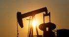 Companies don't lobby for a carbon tax out of the goodness of their corporate hearts � so why do they do it'