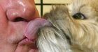 Man dies of rare infection after he was licked by his dog