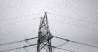 India locusts: Swarm sweeps into Delhi suburb Gurgaon