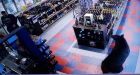 Black bear wanders into B.C. liquor store