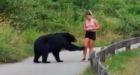 Black bear approaches, taps runner on popular Coquitlam trail