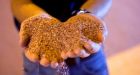 Farmers around the world now depend on Canadian potash: Freeland