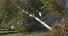 Fewer than 600 homes and businesses on P.E.I. without power 19 days after Fiona