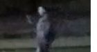 Police seek to identify suspect after vehicles vandalized in Toronto