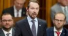 MP Michael Cooper called to apologize for 'shameful' questioning of Joly | CTV News