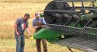 Dry summer leads to early harvest in Alberta