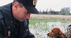 Budget freeze endangers wildlife agency, scientists say