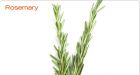 Rosemary will keep a lover true