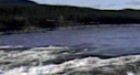 Threatened caribou on collision course with hydro dam, group says