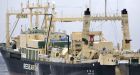 Japanese whaling ship detains activists