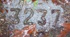 The B.C. Pen's graveyard secrets