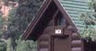 Cruelty charges laid after puppies dumped down outhouse