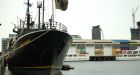 Judge to determine fate of seized anti-sealing ship