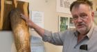 Icelandic museum offers long and short of male organ