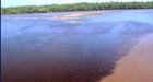 Number of ocean 'dead zones' has doubled in 2 years