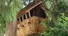 Vancouver pirate-ship tree house torn down as family obeys court order