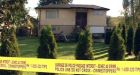 Surrey teen's death prompts call for stricter control of pellet guns