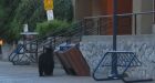 Whistler hikes fines to stop 'garbage bears'