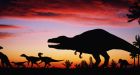 Humans drive biggest mass extinction since dinosaurs