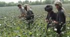 NATO commander sees progress in anti-drug operations in Afghanistan