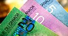 Canada's debt to jump more than 30% in next 5 years: TD Bank