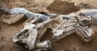Million-year-old mammoth unearthed