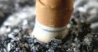 US backs 'historic' tobacco curbs