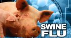 $1B needed to fight swine flu: UN