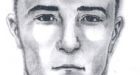 Businessman offers reward in assault on Surrey girl, 6