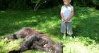 Mounties kill bear that ambled into B.C. family's kitchen