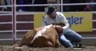 3rd animal dies at Calgary Stampede