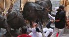 Spaniard gored to death at running of the bulls